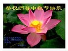 Published on 9/15/2016 ���ֹ�,��½�󷨵��ӹ�ףʦ���������(33��)