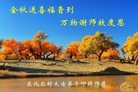 Published on 9/15/2016 ���ֹ�,���󷨵��ӹ�ףʦ���������(24��)