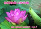 Published on 9/14/2016 ���ֹ�,��½���Ӵ󷨵��ӹ�ףʦ���������(22��)