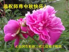 Published on 9/15/2016 ���ֹ�,��½�󷨵��ӹ�ףʦ���������(33��)