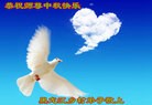 Published on 9/12/2016 ���ֹ�,���󷨵��ӹ�ףʦ�������(23��)
