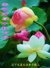 ֹ,ݴ󷨵ӹףʦ(21)
