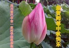 Published on 9/12/2016 ���ֹ�,���󷨵��ӹ�ףʦ�������(23��)
