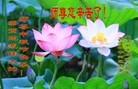 Published on 9/15/2016 ���ֹ�,��½�󷨵��ӹ�ףʦ���������(35��)