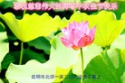 ֹ,ϴ󷨵ӹףʦ(19)
