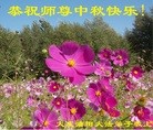 Published on 9/12/2016 ���ֹ�,����ҵ�󷨵��ӹ�ףʦ�������(29��)
