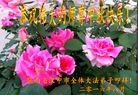 Published on 9/15/2016 ���ֹ�,��½�󷨵��ӹ�ףʦ���������(32��)