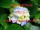 Published on 9/12/2016 ���ֹ�,����ҵ�󷨵��ӹ�ףʦ�������(29��)
