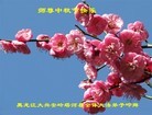 ֹ,󷨵ӹףʦ(19)

