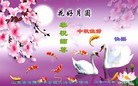 Published on 9/12/2016 ���ֹ�,���󷨵��ӹ�ףʦ�������(23��)
