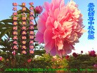 Published on 9/12/2016 ���ֹ�,���󷨵��ӹ�ףʦ�������(23��)
