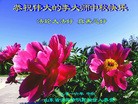 Published on 9/12/2016 ���ֹ�,���󷨵��ӹ�ףʦ�������(23��)
