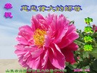 Published on 9/12/2016 ���ֹ�,���󷨵��ӹ�ףʦ�������(23��)

