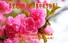Published on 9/12/2016 ���ֹ�,���󷨵��ӹ�ףʦ�������(23��)
