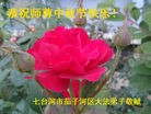 Published on 9/15/2016 ���ֹ�,��½�󷨵��ӹ�ףʦ���������(33��)