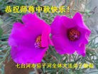 Published on 9/15/2016 ���ֹ�,��½�󷨵��ӹ�ףʦ���������(33��)