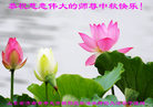Published on 9/12/2016 ���ֹ�,�Ƿ���Ѻ�󷨵��ӹ�ףʦ�������(20��)
