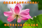 ֹ,ϴ󷨵ӹףʦ(24)