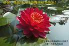 ֹ,󷨵ӹףʦ(23)
