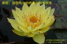 ֹ,󷨵ӹףʦ(23)
