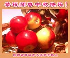 Published on 9/15/2016 ���ֹ�,��½�󷨵��ӹ�ףʦ���������(32��)