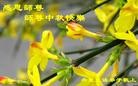 ֹ,󷨵ӹףʦ(23)
