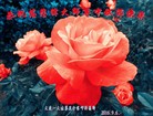 ֹ,󷨵ӹףʦ(28)