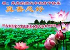 Published on 9/15/2016 ���ֹ�,��½�󷨵��ӹ�ףʦ���������(36��)