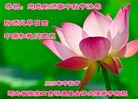 Published on 9/15/2016 ���ֹ�,��½�󷨵��ӹ�ףʦ���������(36��)