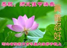Published on 9/15/2016 ���ֹ�,��½�󷨵��ӹ�ףʦ���������(36��)
