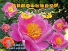 ֹ,󷨵ӹףʦ(23)
