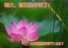 Published on 9/15/2016 ���ֹ�,��½�󷨵��ӹ�ףʦ���������(29��)