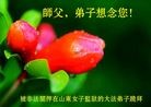 Published on 9/12/2016 ���ֹ�,�Ƿ���Ѻ�󷨵��ӹ�ףʦ�������(20��)
