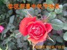ֹ,ϴ󷨵ӹףʦ(19)
