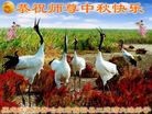 ֹ,󷨵ӹףʦ(18)
