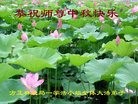 Published on 9/13/2016 ���ֹ�,����ҵ�󷨵��ӹ�ףʦ�������(31��)
