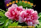 Published on 9/14/2016 ���ֹ�,����ҵ�󷨵��ӹ�ףʦ�������(34��)
