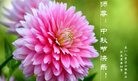ֹ,ϴ󷨵ӹףʦ(25)
