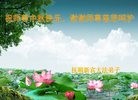 ֹ,󷨵ӹףʦ(18)
