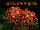 ֹ,ϴ󷨵ӹףʦ(19)
