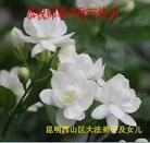 ֹ,ϴ󷨵ӹףʦ(19)
