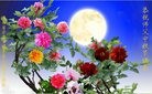ֹ,󷨵ӹףʦ(23)
