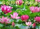 Published on 9/15/2016 ���ֹ�,��½�󷨵��ӹ�ףʦ���������(40��)