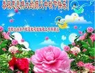 ֹ,ӱ󷨵ӹףʦ(24)

