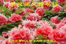 Published on 12/30/2016 ���ֹ�,��½�󷨵��ӹ�ףʦ�������(29��)