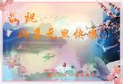 Published on 12/30/2016 ���ֹ�,��½�󷨵��ӹ�ףʦ�������(29��)