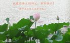 Published on 12/31/2016 ���ֹ�,��½�󷨵��ӹ�ףʦ�������(26��)