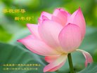 Published on 12/31/2016 ���ֹ�,��½�󷨵��ӹ�ףʦ�������(26��)