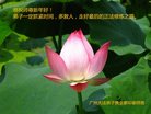 Published on 12/31/2016 ���ֹ�,��½�󷨵��ӹ�ףʦ�������(26��)