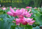 Published on 12/31/2016 ���ֹ�,��½�󷨵��ӹ�ףʦ�������(26��)
